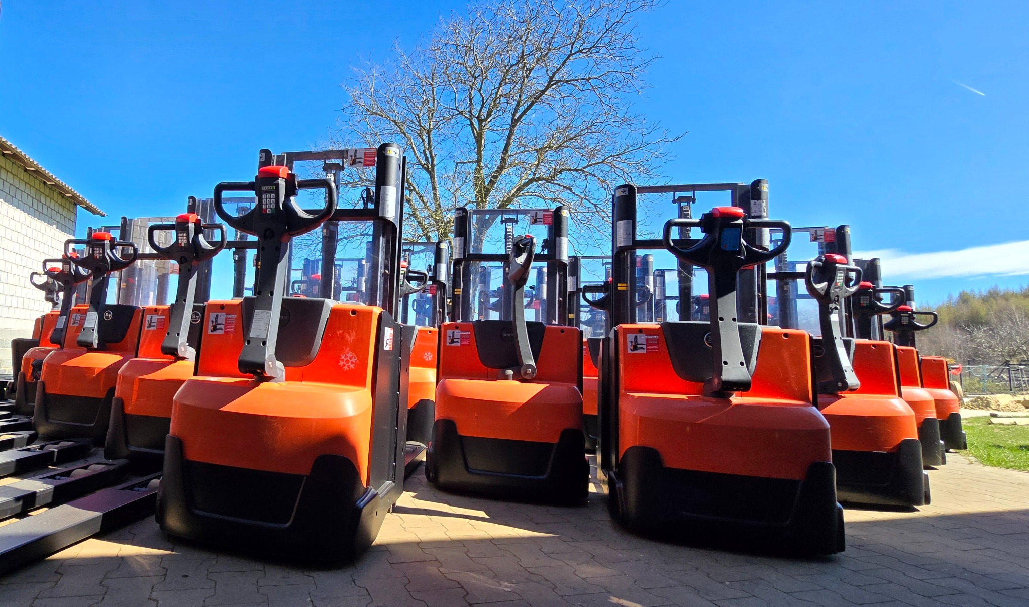 Rząd pomarańczowo-czarnych wózków paletowych elektrycznych marki Toyota, ustawionych na zewnątrz na kostce brukowej w słoneczny dzień, z drzewem bez liści w tle.