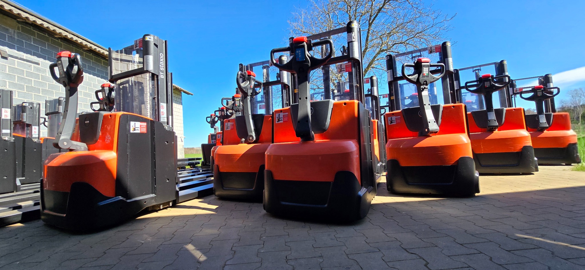 Rząd pomarańczowo-czarnych wózków paletowych elektrycznych BT Staxio ustawionych na zewnątrz, widok z niskiej perspektywy, jasne niebo w tle.