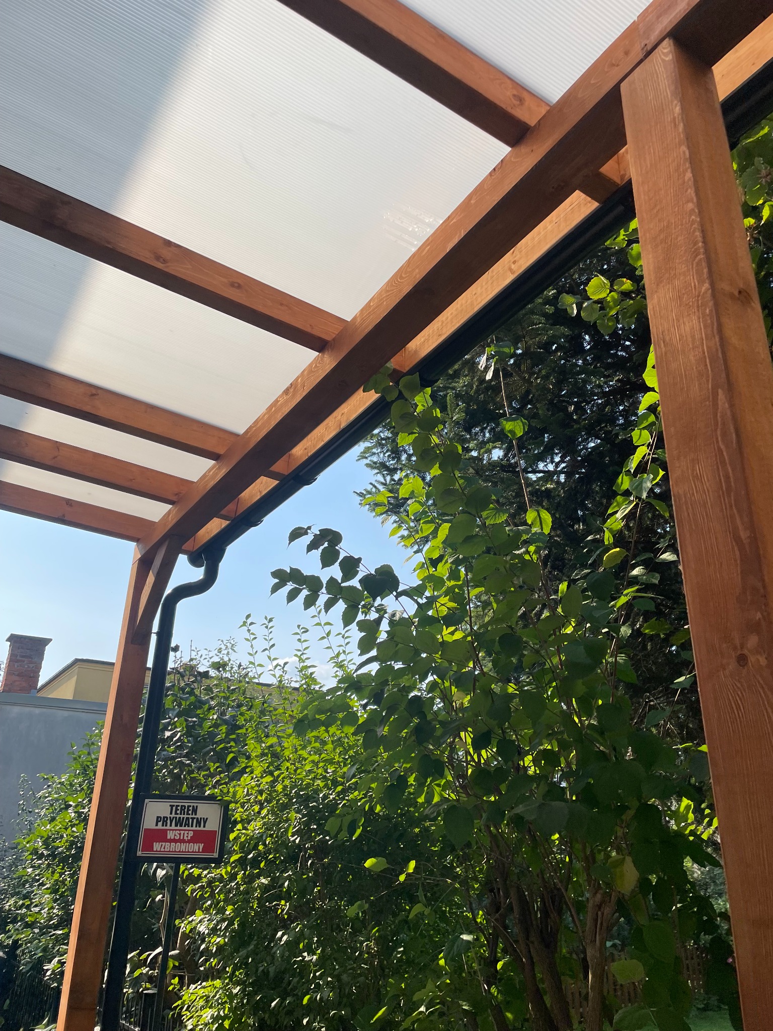 Drewniana konstrukcja z przezroczystym zadaszeniem, widok z dołu, z zielenią w tle. Elementy konstrukcyjne z widocznymi słojami drewna, rynna odprowadzająca wodę.