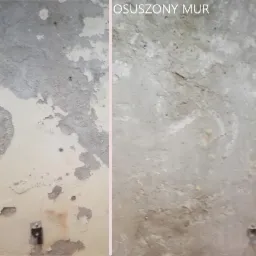 Efekt oszuania w systemie Hermon