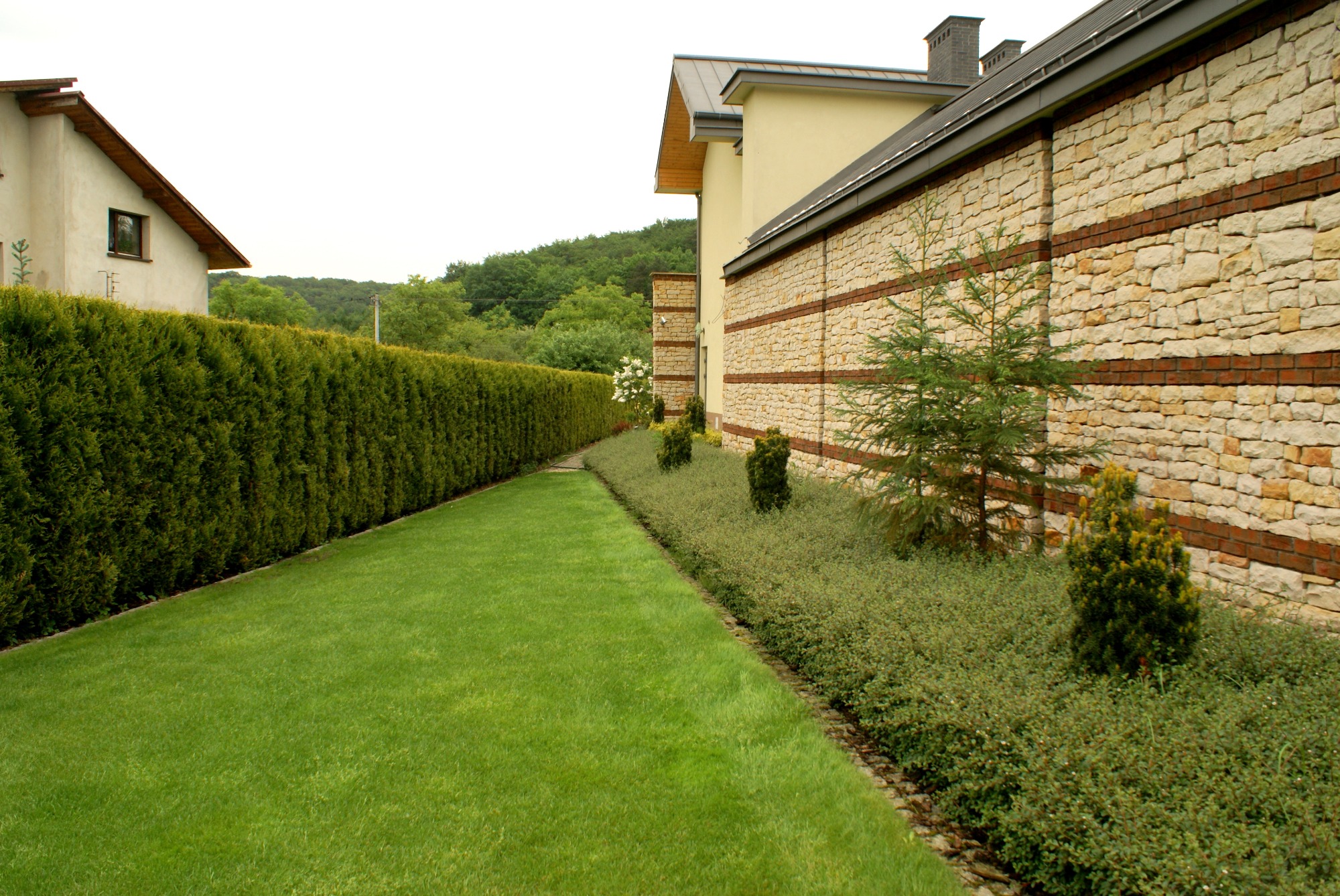 Zadbany trawnik przylegający do posesji z kamienną elewacją, oddzielony od sąsiedniej działki wysokim żywopłotem z tuj, z niską roślinnością ozdobną pomiędzy trawnikiem a ścianą budynku.