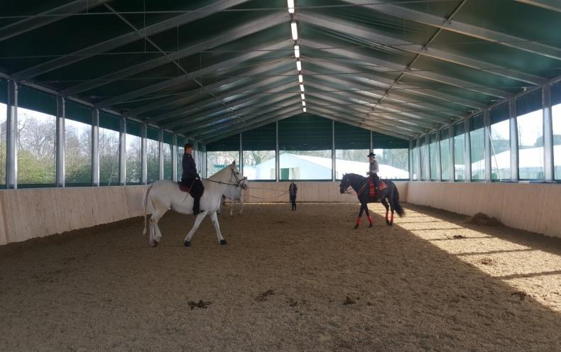 Kryta ujeżdżalnia koni z konstrukcją stalową, widoczne konie z jeźdźcami w trakcie treningu, oświetlenie jarzeniowe pod dachem.
