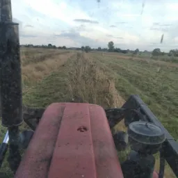 Widok z kabiny traktora podczas koszenia trawy na polu, widoczne ścięte pasy trawy i kępy wysokiej trawy w tle, pochmurne niebo.