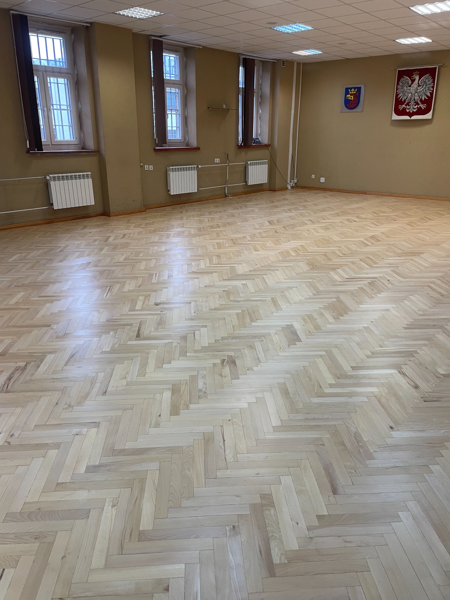 Jasny, odnowiony parkiet ułożony we wzór jodełki w przestronnym pomieszczeniu z oknami i herbami na ścianie. Widoczne grzejniki pod oknami.