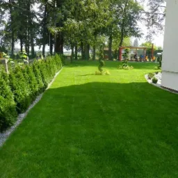 Zadbany trawnik z równo przyciętą trawą, obrzeżem z białego grysu i szpalerem tuj przy ogrodzeniu, w tle altana i plac zabaw.