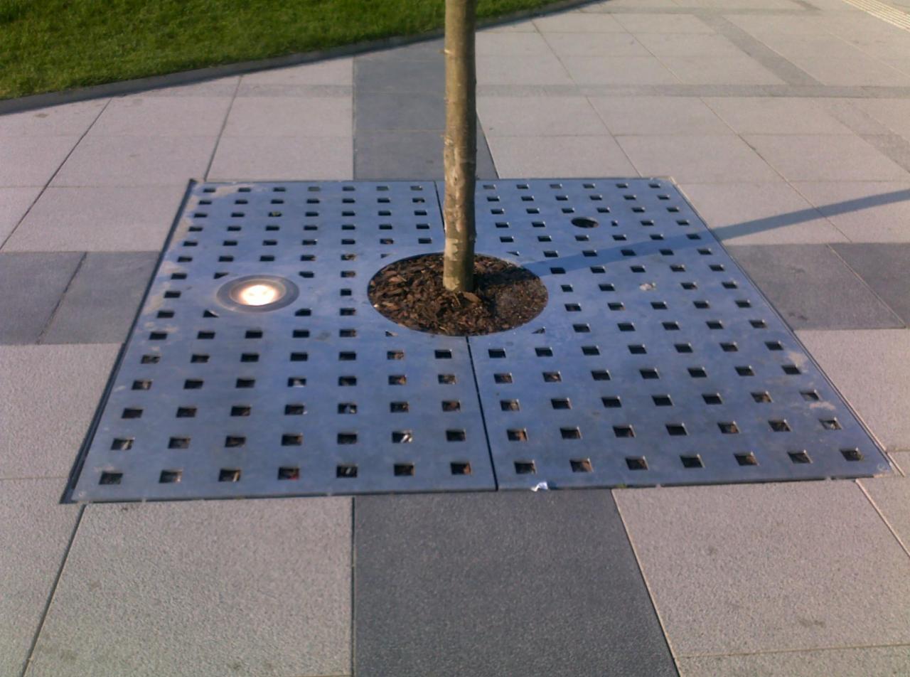Metalowa krata ochronna z oświetleniem LED wokół pnia drzewa na chodniku z szarej kostki brukowej.