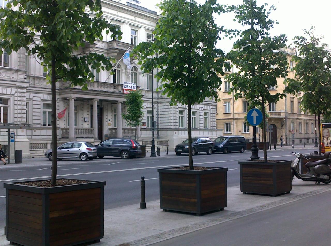 Miejski krajobraz z drzewami w drewnianych donicach ustawionych wzdłuż ulicy, z zabytkową architekturą w tle i zaparkowanymi samochodami.