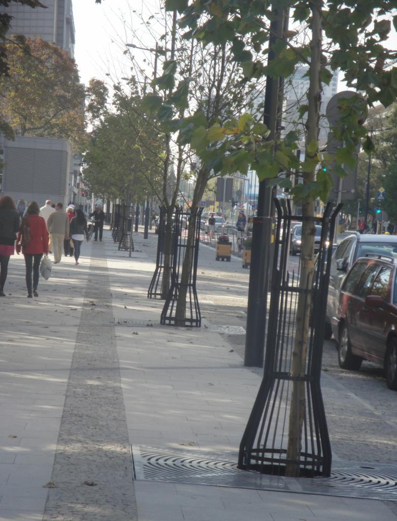 Szpaler młodych drzewek w metalowych osłonach posadzonych wzdłuż chodnika miejskiego, z widocznymi przechodniami i zaparkowanymi samochodami w tle.