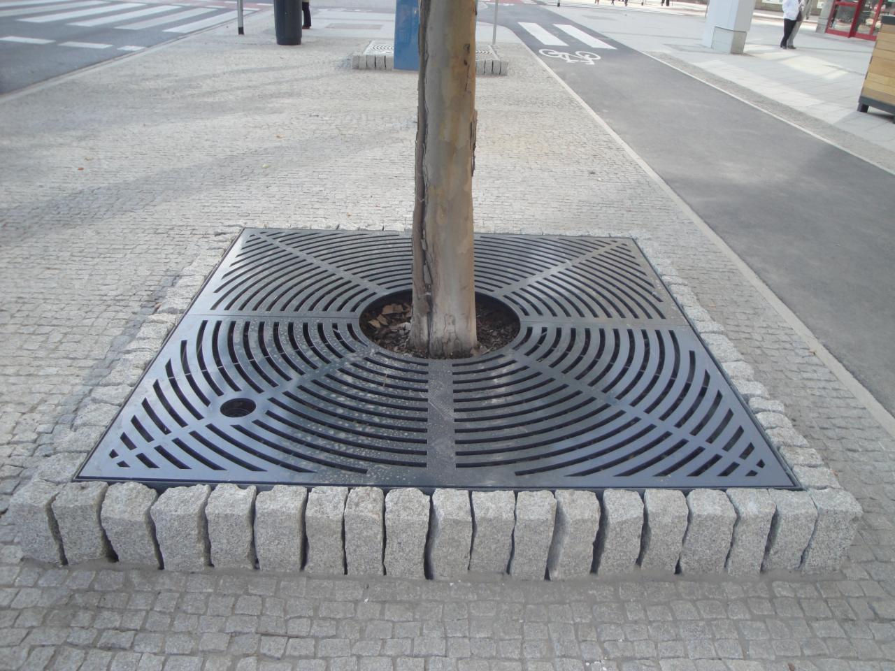 Metalowa kratka ochronna wokół drzewa na chodniku, otoczona granitową kostką.