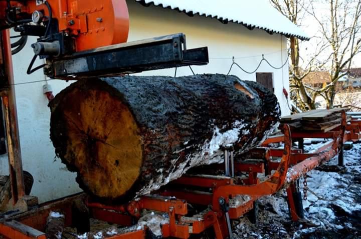 Przetwarzanie dużego, mokrego bala drewna na tarcicę za pomocą mobilnego traka taśmowego na tle ośnieżonego krajobrazu.