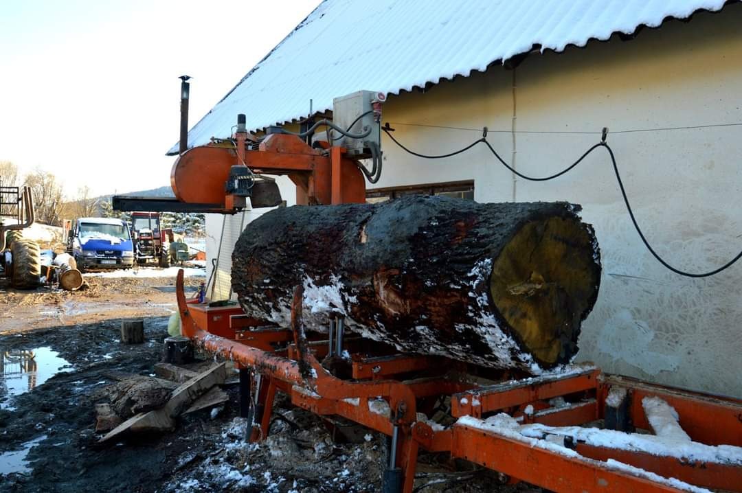 Kłoda drewna na pomarańczowej traku taśmowym w trakcie obróbki, z widocznymi śladami śniegu i błota, na tle budynku z ośnieżonym dachem i pojazdów.