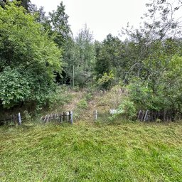 Pielęgnacja ogrodów Brody 3