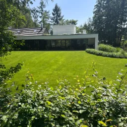 Perfekcyjnie skoszony trawnik przed nowoczesnym domem z dużymi oknami, otoczony zielenią. Widok zza krzewów, podkreślający zadbany krajobraz.