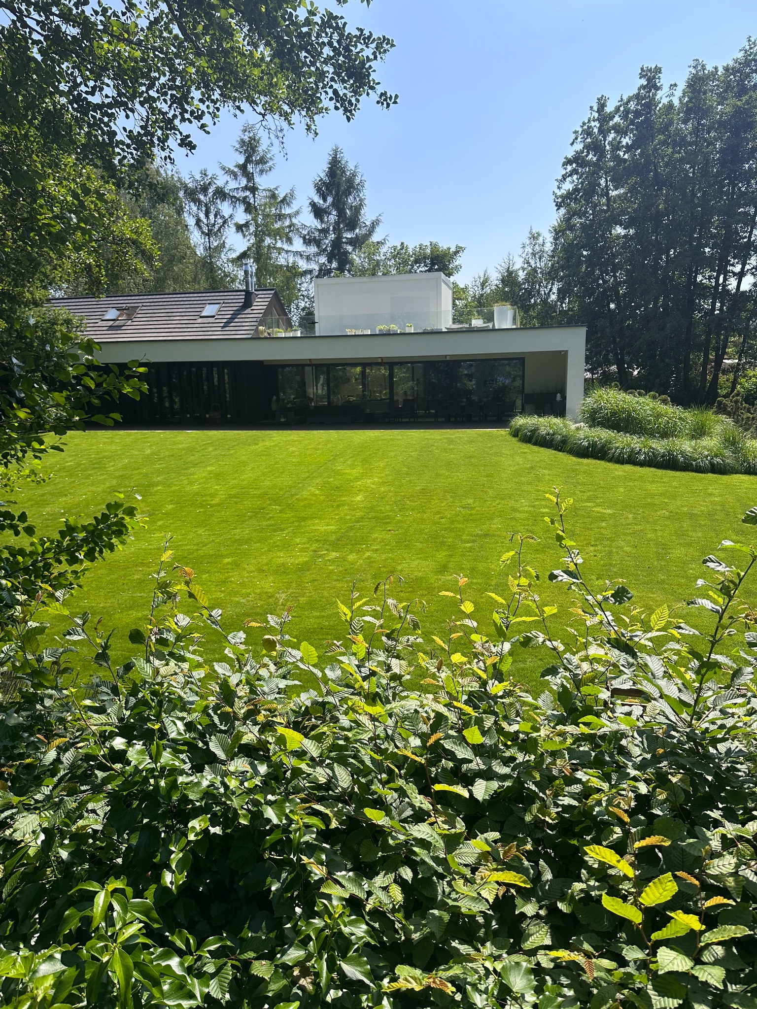 Perfekcyjnie skoszony trawnik przed nowoczesnym domem z dużymi oknami, otoczony zielenią. Widok zza krzewów, podkreślający zadbany krajobraz.