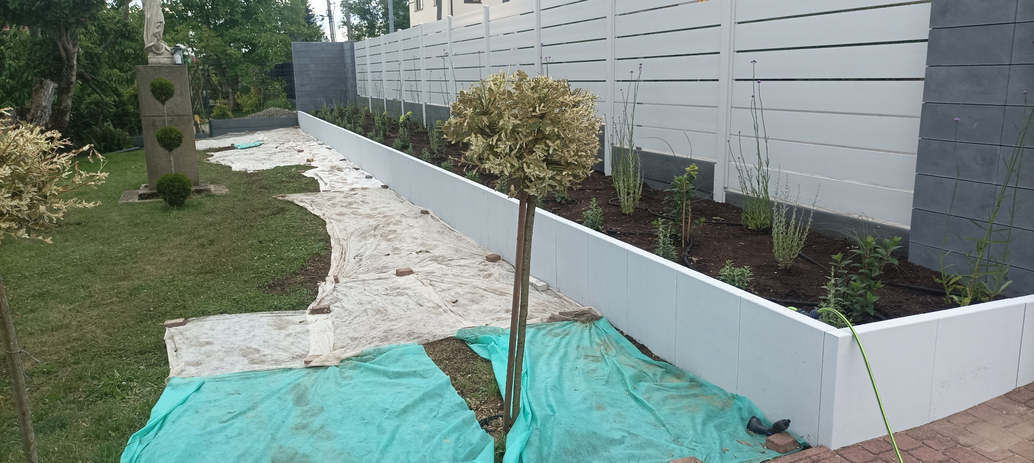 Nowoczesny ogród w trakcie realizacji: białe obrzeża rabat, świeżo posadzone rośliny, ziemia przygotowana pod nasadzenia, widoczne zabezpieczenia. Ujęcie z perspektywy ogrodu.