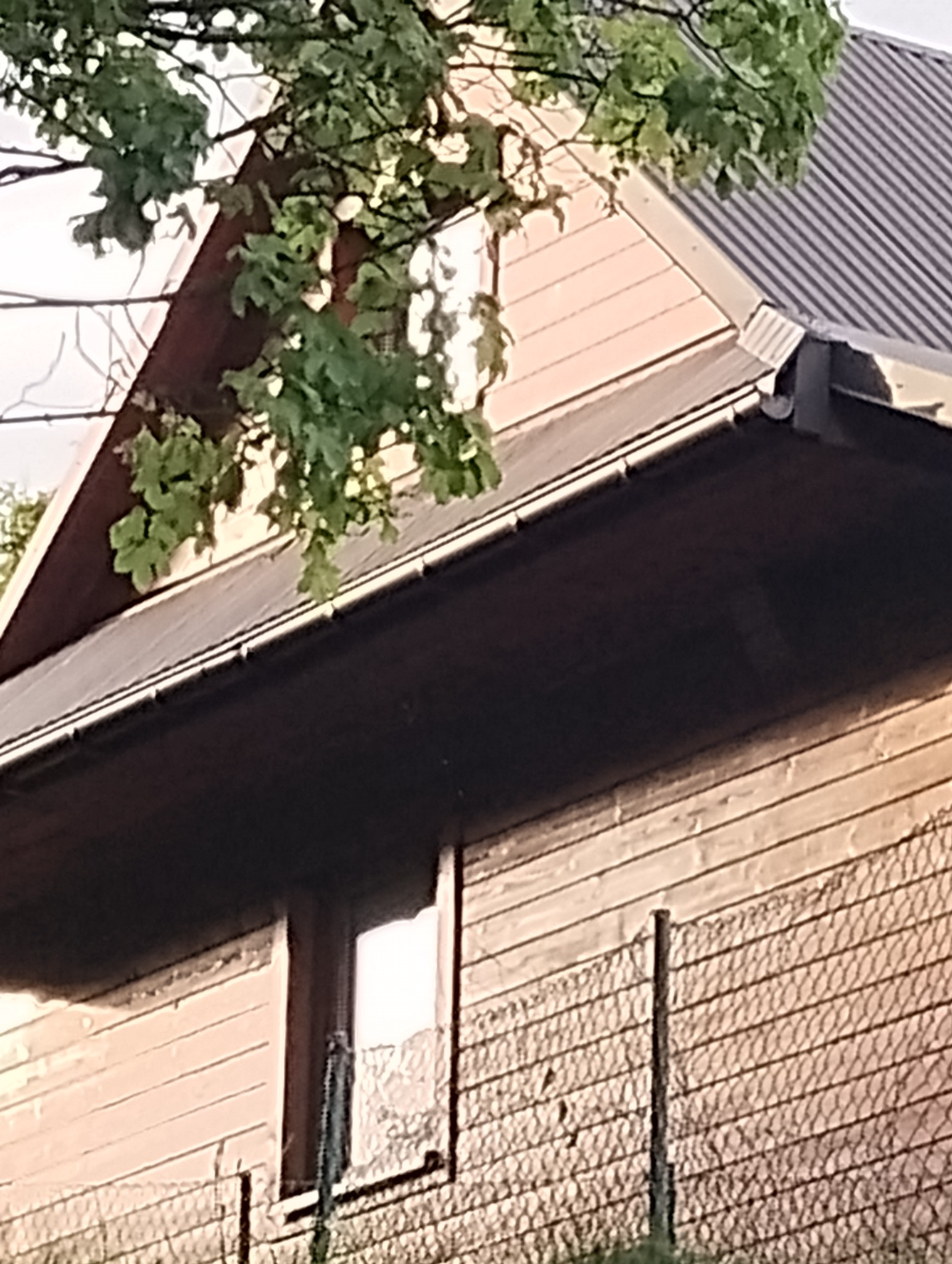 Fragment ściany domu w Soblówce z drewnianą elewacją, widoczny dach i okno, przed domem siatka ogrodzeniowa.