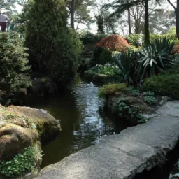 Oczko wodne w ogrodzie z kamiennymi brzegami i małą fontanną, otoczone różnorodną roślinnością i ścieżką z kamiennych płyt.