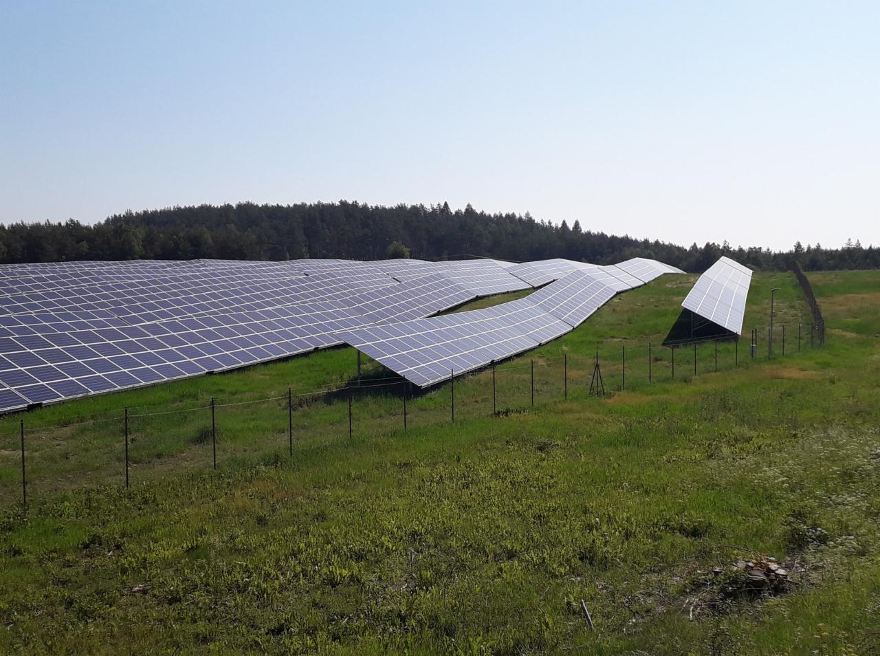 Rozległa farma paneli słonecznych na pagórkowatym terenie, otoczona siatką ogrodzeniową, z lasem w tle pod błękitnym niebem.