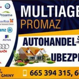 Szyld multiagencji ubezpieczeniowej PROMAZ z logotypami towarzystw, zdjęciami samochodów i domu, numerami telefonów i adresem w Baćkowicach.