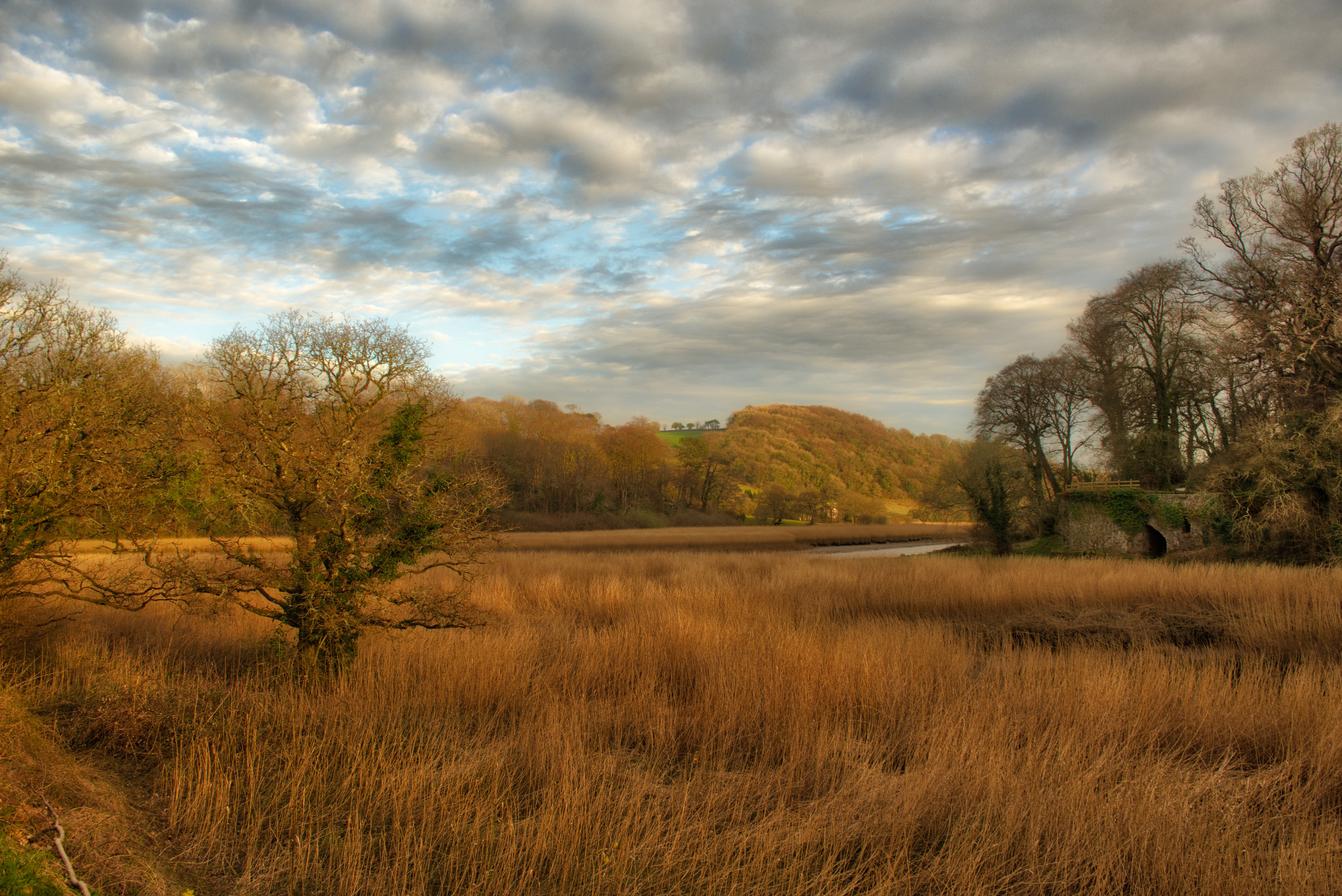 Pejzaż przedstawia rozległe pole wyschniętej trawy, z rzadkimi drzewami w tle i dramatycznym, zachmurzonym niebem. Słońce oświetla drzewa po lewej stronie, nadając im ciepły, złoty odcień.