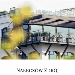 Dostawcy pozostali Nałęczów 1