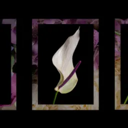 Tryptyk z białych anturiów z fioletowymi kolbami na czarnym tle, obramowany kompozycjami kwiatowymi.