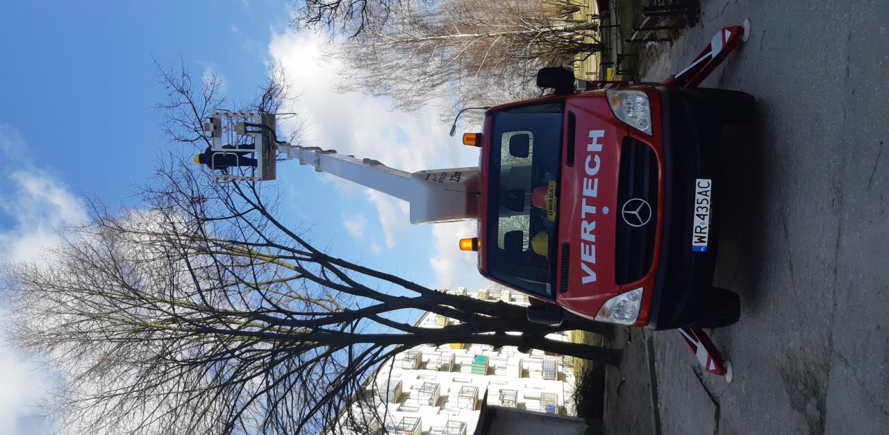 Czerwony podnośnik koszowy Vertech z wysięgnikiem i pracownikiem w kasku, przycinającym gałęzie drzewa na tle błękitnego nieba i bloku mieszkalnego.