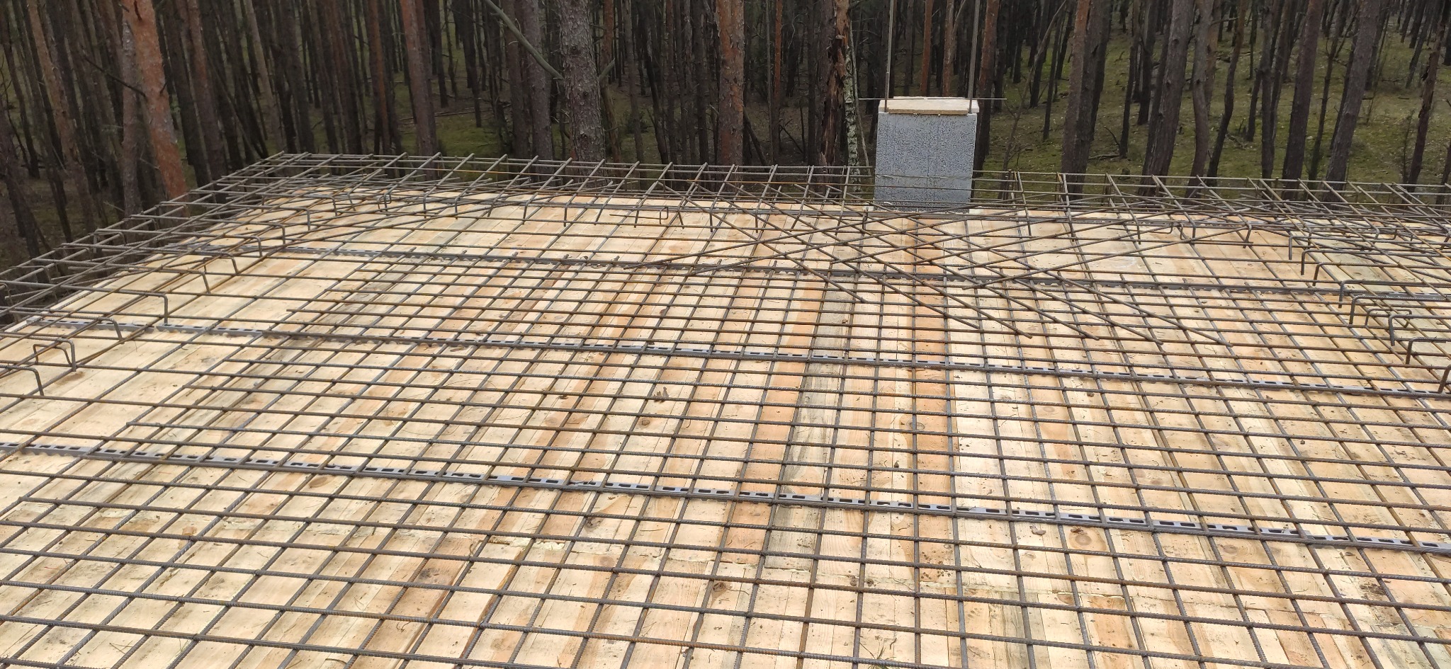 Siatka zbrojeniowa ułożona na drewnianym szalunku, widok z góry na tle drzew.