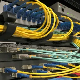 Panel krosowniczy z podłączonymi kablami światłowodowymi w kolorach żółtym i turkusowym, uporządkowanymi za pomocą czarnych uchwytów, z widocznym urządzeniem Fortinet w tle.