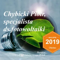 Żarówka z zielonym liściem w środku, symbolizująca energię odnawialną, nagroda Oferteo Najlepsi 2019 dla specjalisty ds. fotowoltaiki Chybickiego Piotra.