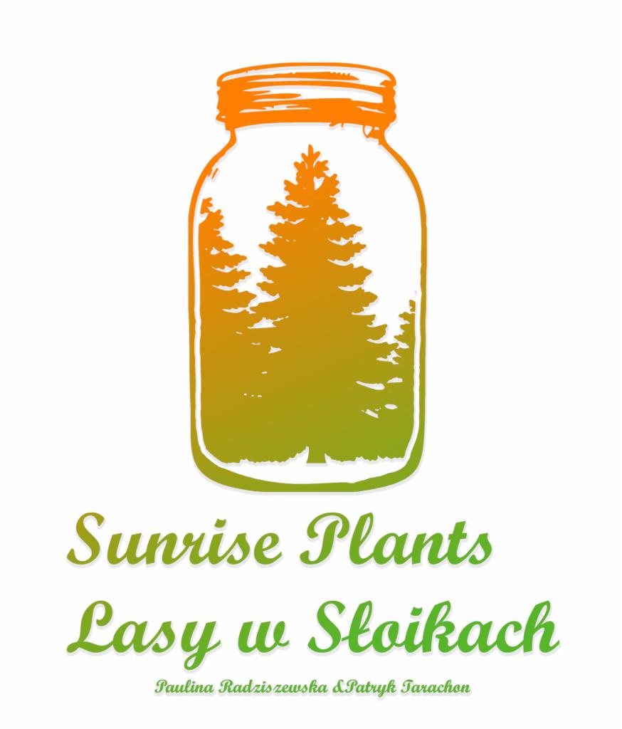 Grafika przedstawia logo firmy Sunrise Plants: sylwetka słoika z pomarańczową nakrętką, wewnątrz zielono-pomarańczowe drzewa iglaste, poniżej nazwa firmy i hasło 'Lasy w Słoikach'.