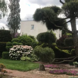 Starannie zaprojektowany ogród z krzewami, kwiatami i drzewami ozdobnymi, w tle nowoczesny dom z jasną elewacją.