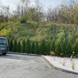 Szara kostka brukowa ułożona na podjeździe, obok rzędu tuj i rabaty z białym kamieniem, zaparkowany samochód osobowy w tle.