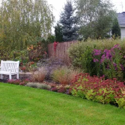 Utrzymany w jesiennej kolorystyce przydomowy ogród z białym drewnianym siedziskiem, ozdobnymi trawami, wrzosami i rozchodnikiem okazałym, z tyłu bambusowe ogrodzenie.