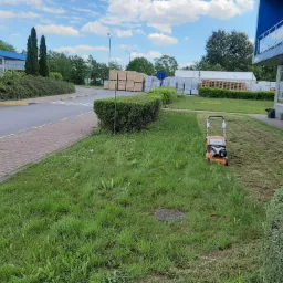 Pomarańczowa kosiarka spalinowa na trawniku z widocznymi śladami koszenia, w tle budynek przemysłowy, palety z towarem i zaparkowany samochód dostawczy.