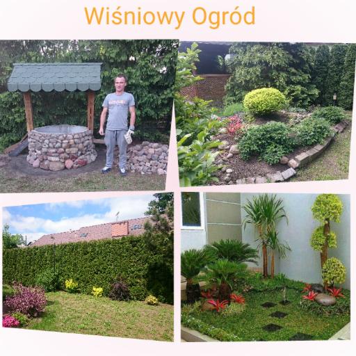 Mozaika zdjęć ogrodu: studnia z kamienia, rabata z roślinami, zielony żywopłot i egzotyczny zakątek z palmami. Prezentacja aranżacji ogrodu.