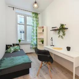 Jasny pokój z biurkiem, rozkładaną sofą, regałem i zielonymi akcentami roślinnymi.