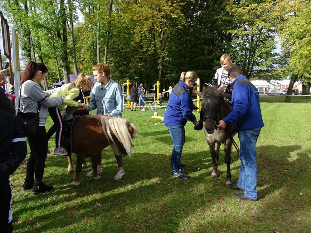 Dwa małe konie, na jednym dziecko siedzi, na drugim pomagają dziecku wsiąść, w tle park i ludzie.