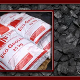 Najlepszy Ekogroszek, Eko Groszek