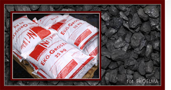 Najlepszy Ekogroszek, Eko Groszek