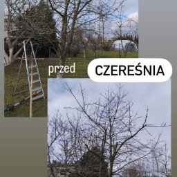 Zielonyogródek.com.pl - Pierwszorzędne Trawniki Słupsk