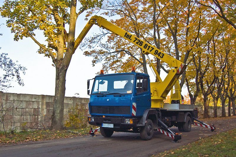Niebieska ciężarówka z żółtym wysięgnikiem i numerem telefonu na ramieniu, zaparkowana na poboczu drogi, podnosi kosz w kierunku drzewa z żółtymi liśćmi, betonowy mur w tle.
