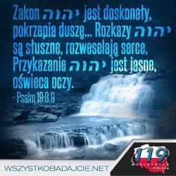 Przeprowadzki Zalewo 4