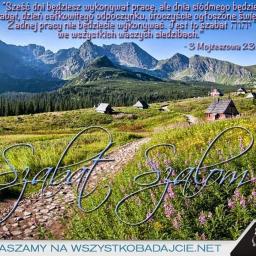 Przeprowadzki Zalewo 3