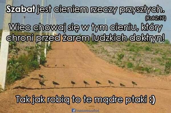Polna droga z rzędem ptaków i tekstem o szabacie i cieniu.