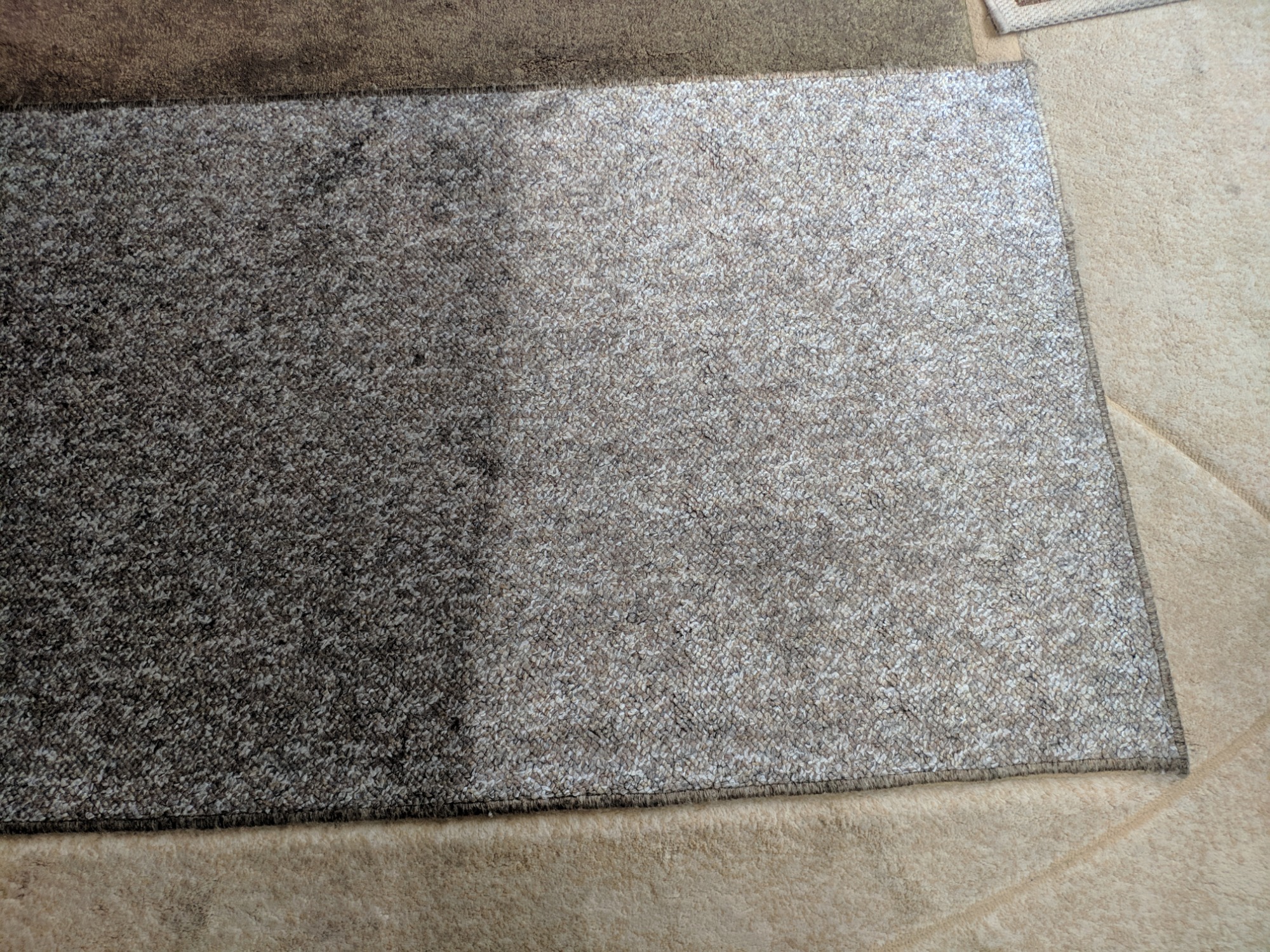 Fragment dywanu z widoczną różnicą w czystości - lewa strona ciemniejsza, prawdopodobnie brudna, prawa jaśniejsza, po czyszczeniu.