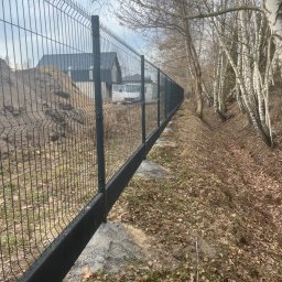 Ogrodzenia panelowe Łyszkowice 4