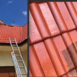 mycie impregnacja malowanie dachu alpha alpine