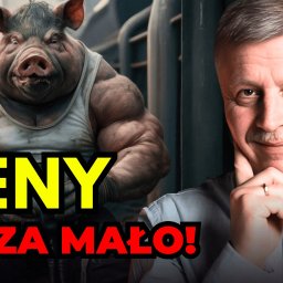 Grafik komputerowy Łódź 2