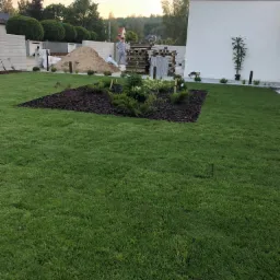 Świeżo założony trawnik z rolki, rabata z korą i niskimi roślinami iglastymi, w tle pracownik w trakcie prac ogrodowych i biały nowoczesny dom.